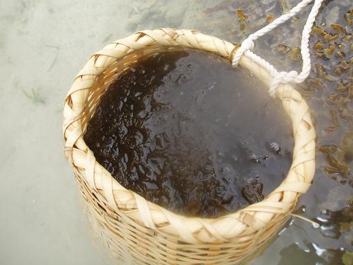 c0180460_5415616.jpg