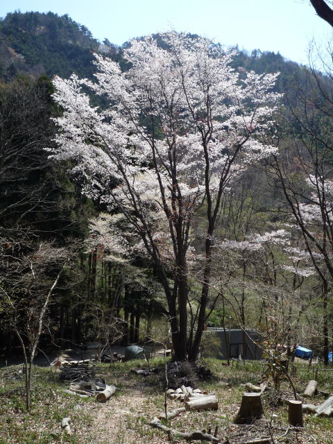 b0129962_1838643.jpg