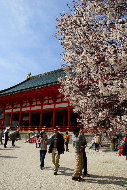 平安神宮神苑の桜_f0102363_18384033.jpg