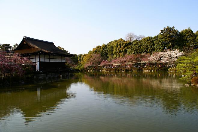 平安神宮神苑の桜_f0102363_18394211.jpg