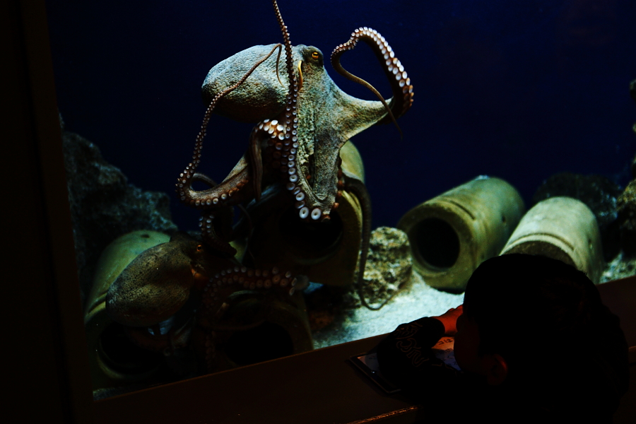 f0171065_0251595.jpg