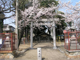 神社探訪余話（13）桜舞い散る社（その２）_e0113570_2323650.jpg