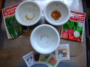 c0180773_01427.jpg