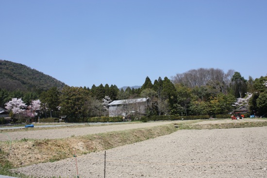 桜の嵐山　April 12,2009_e0130974_23361992.jpg