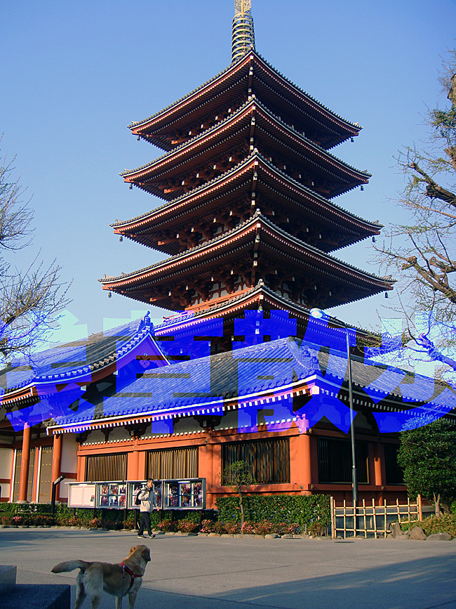 b0091575_7594239.jpg