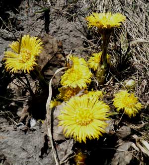 f0083977_7413169.jpg