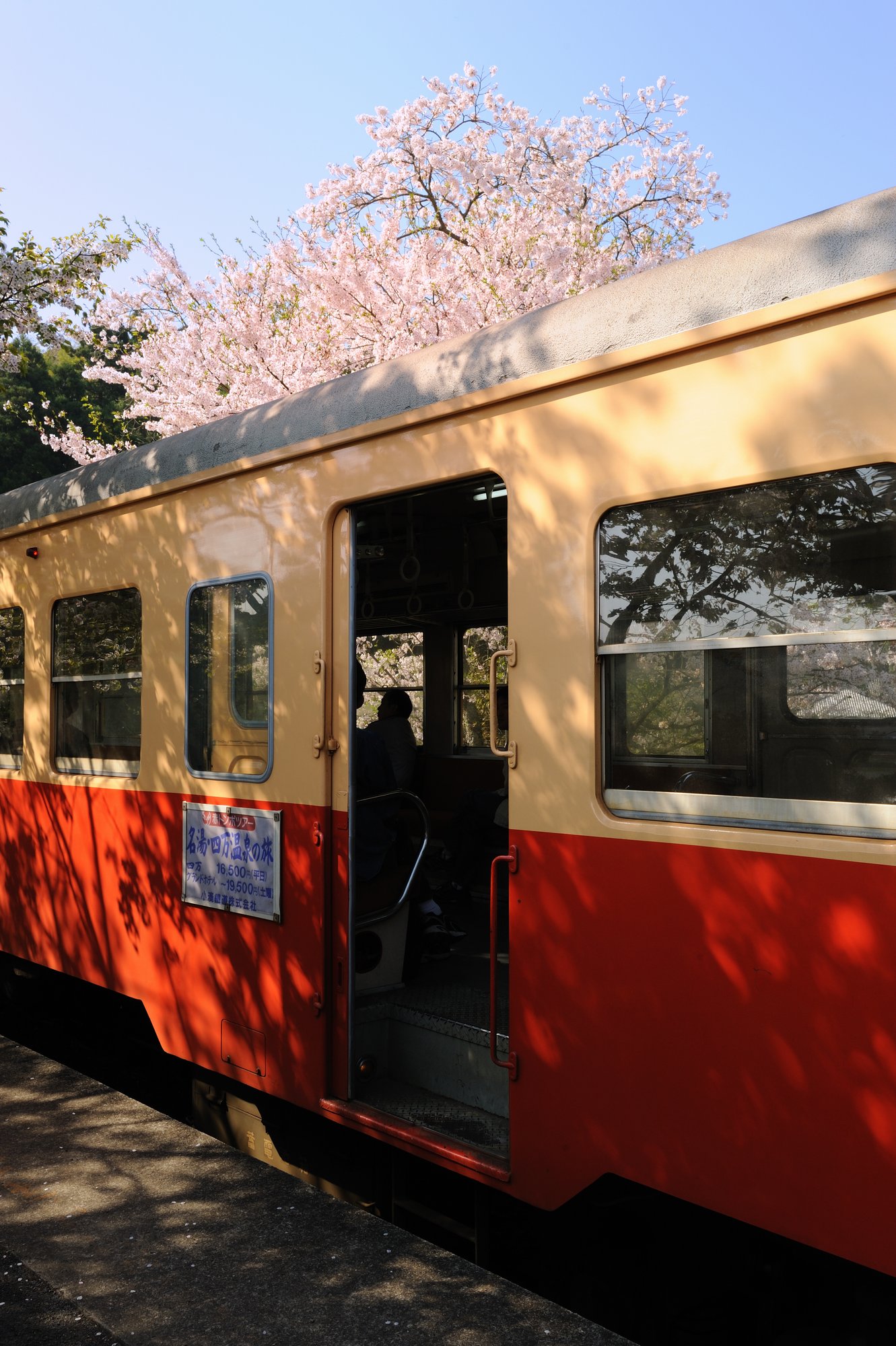 小湊鐵道 飯給(いたぶ)の春I_e0071178_19175374.jpg