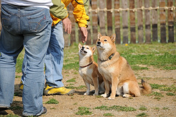 とぶき　200903 32_c0109780_831950.jpg