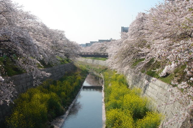c0135480_0312377.jpg