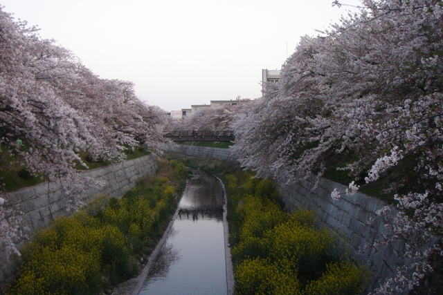 c0135480_0332576.jpg