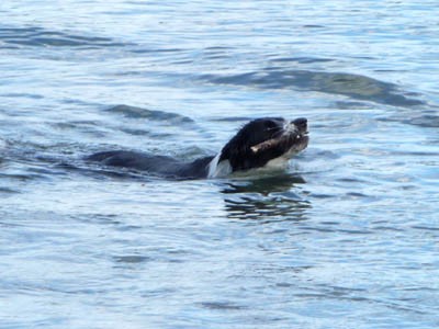 ホリデー2日目・動物がいっぱい！_e0133780_2019468.jpg