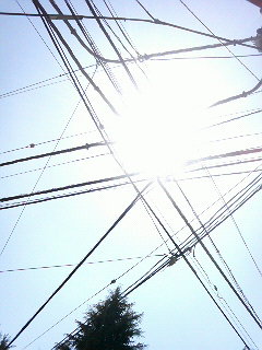 晴れ!!!_a0075684_21171972.jpg