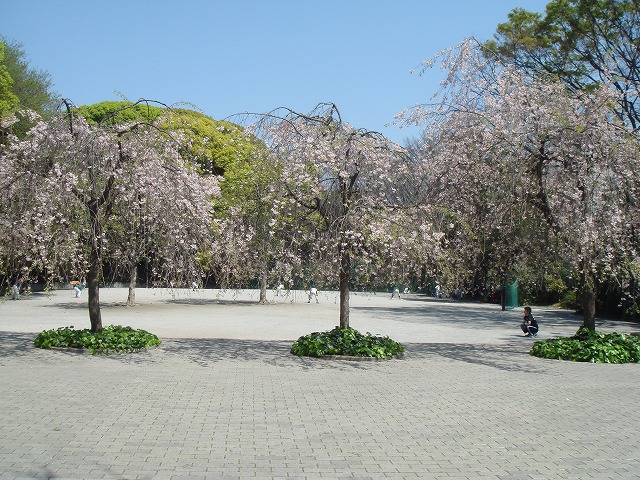 c0096685_20395469.jpg