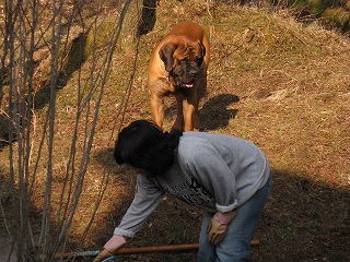 ザック3_d0133485_9154297.jpg