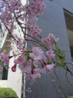 f0007587_1030828.jpg