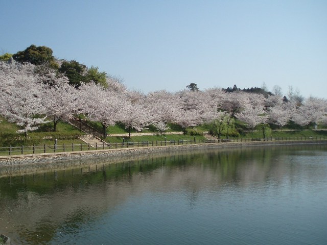 水面風景_f0181295_10562590.jpg