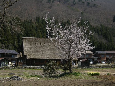 b0138798_23202921.jpg