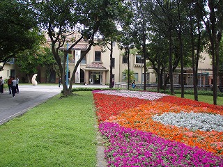 d0039999_2382486.jpg