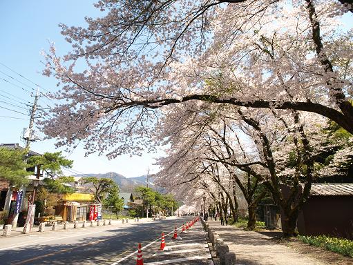 長瀞の桜並木_f0109601_22243978.jpg