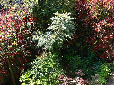 c0153302_1230535.jpg