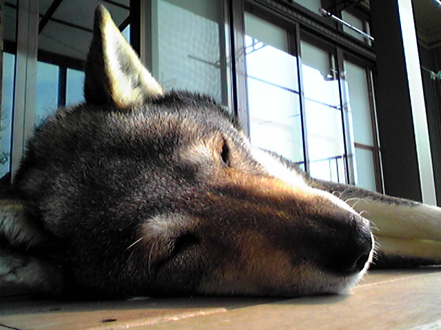 f0079202_2084045.jpg