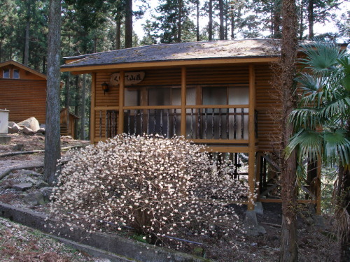 c0036203_927539.jpg