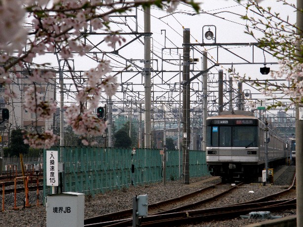 竹ノ塚の桜と_f0084703_2493015.jpg