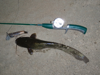 c0023804_11225559.jpg