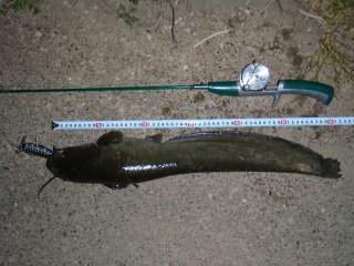c0023804_11231842.jpg