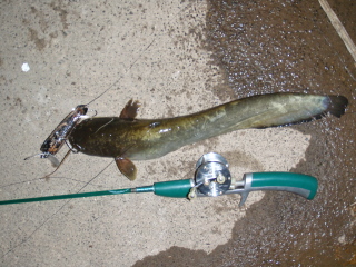 c0023804_1123368.jpg