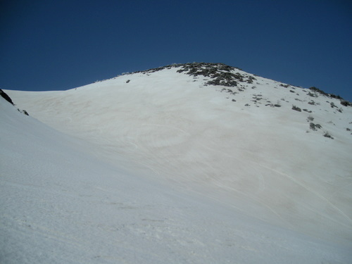 e0083204_1233058.jpg