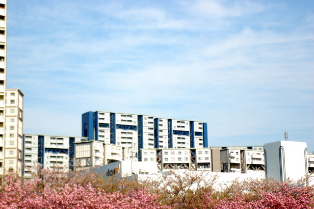 f0203507_23494130.jpg