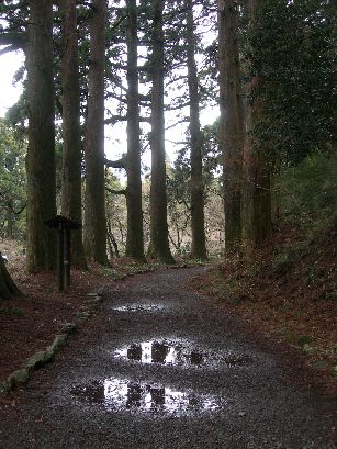 c0149408_1555522.jpg
