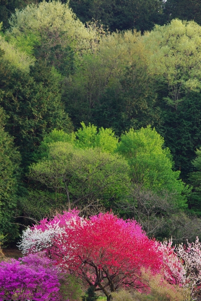 c0156908_23122981.jpg