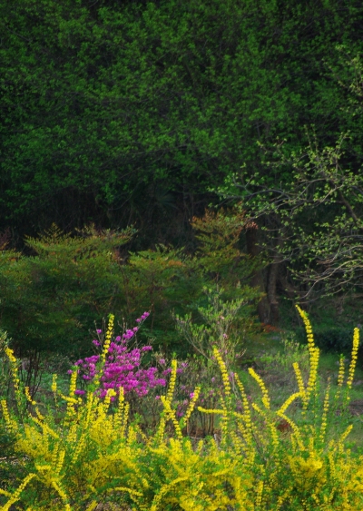 c0156908_2394270.jpg