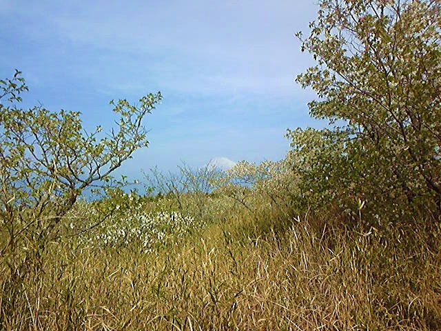 e0015108_2357246.jpg