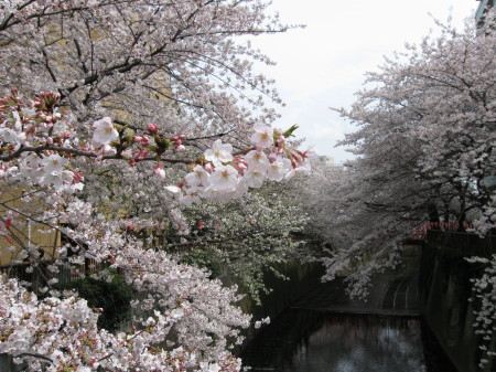 b0042310_2041593.jpg
