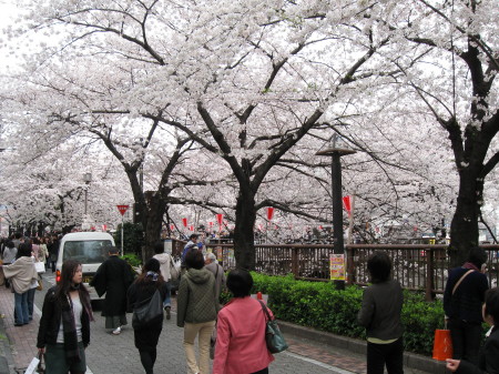 b0042310_2137720.jpg