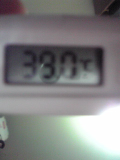 f0072010_230069.jpg