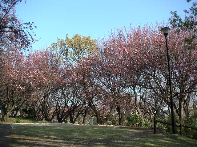 e0146912_036349.jpg