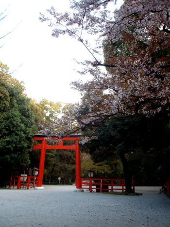 世界遺産　下鴨神社_e0048413_18575630.jpg