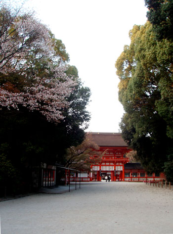 世界遺産　下鴨神社_e0048413_18582525.jpg