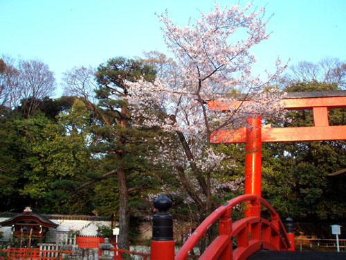 世界遺産　下鴨神社_e0048413_18583945.jpg