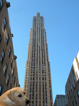 f0191413_21513240.jpg