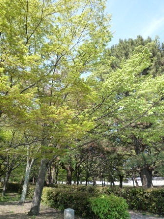 b0010914_20432214.jpg