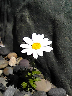 c0118914_028279.jpg