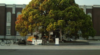 京都大学に「くびくびカフェ」_e0094315_2224198.jpg