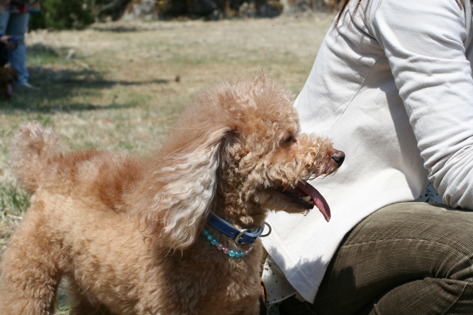 c0003217_16565740.jpg