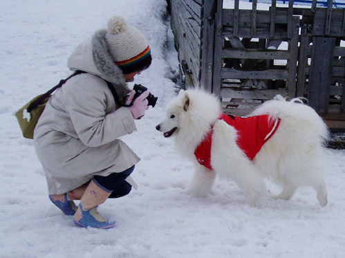 1ヶ月以上ぶりの獅子桃です〜_a0044521_2223128.jpg