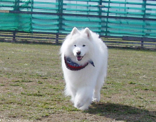 a0044521_2245545.jpg